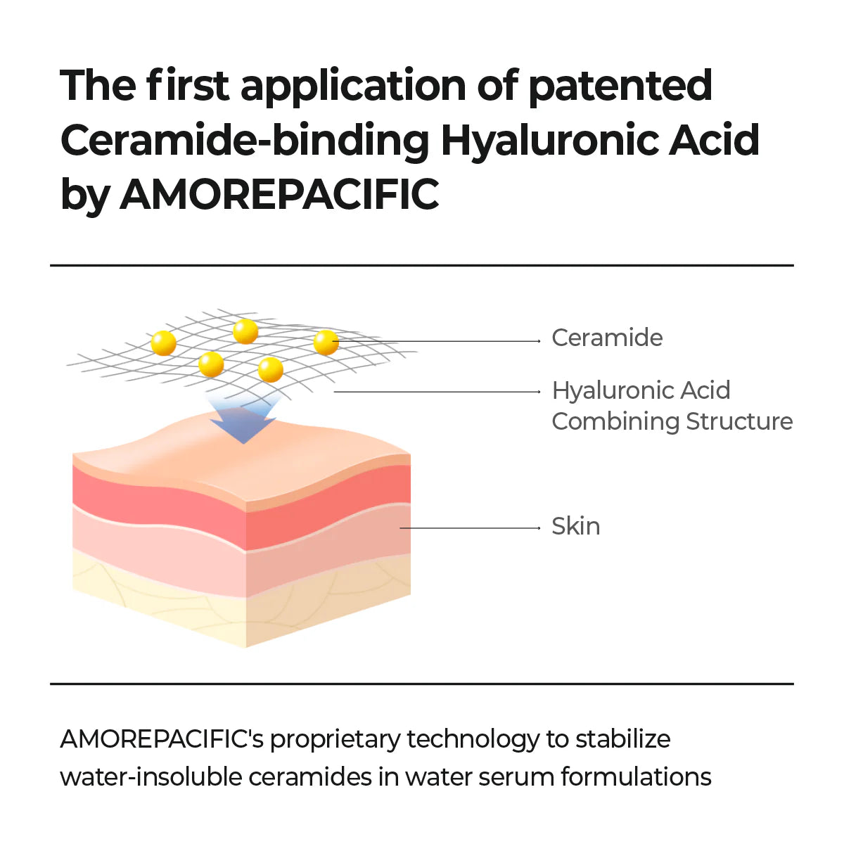 AESTURA Atobarrier 365 Hydro Cera-HA Serum | Ceramide & Hyaluronic Acid Hydrating Serum